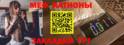 индика Камышлов