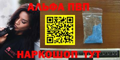 индика Камышлов