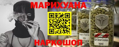 индика Камышлов