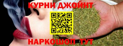 индика Камышлов