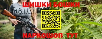 индика Камышлов
