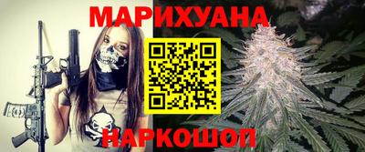 индика Камышлов