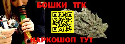 индика Камышлов