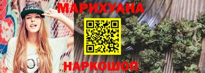 индика Камышлов