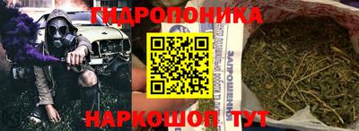 индика Камышлов