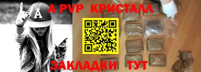 индика Камышлов