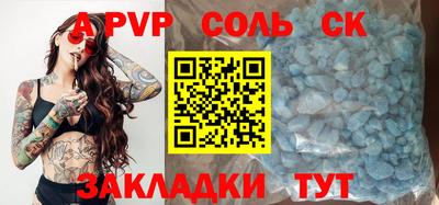 индика Камышлов