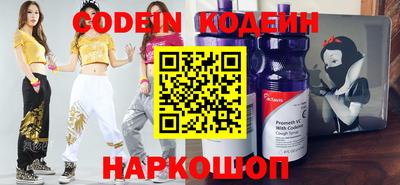 индика Камышлов