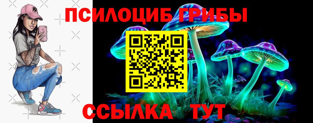 Дмитров  Псилоцибиновые грибы Cubensis  Вход с VPN 