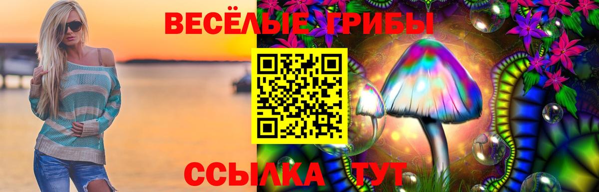 Псилоцибиновые грибы Psilocybe Дмитров